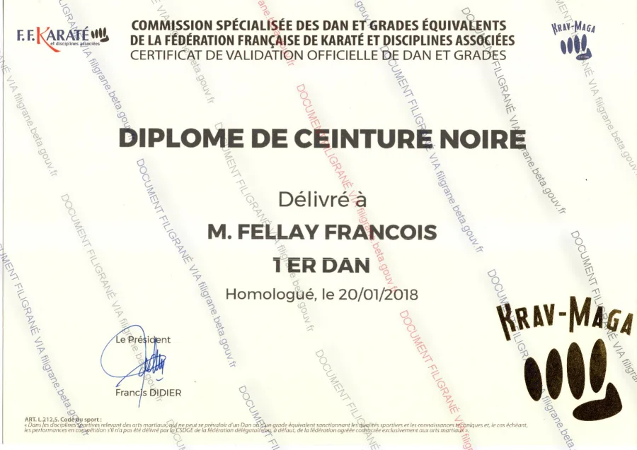 Diplôme de ceinture noire 1er Dan