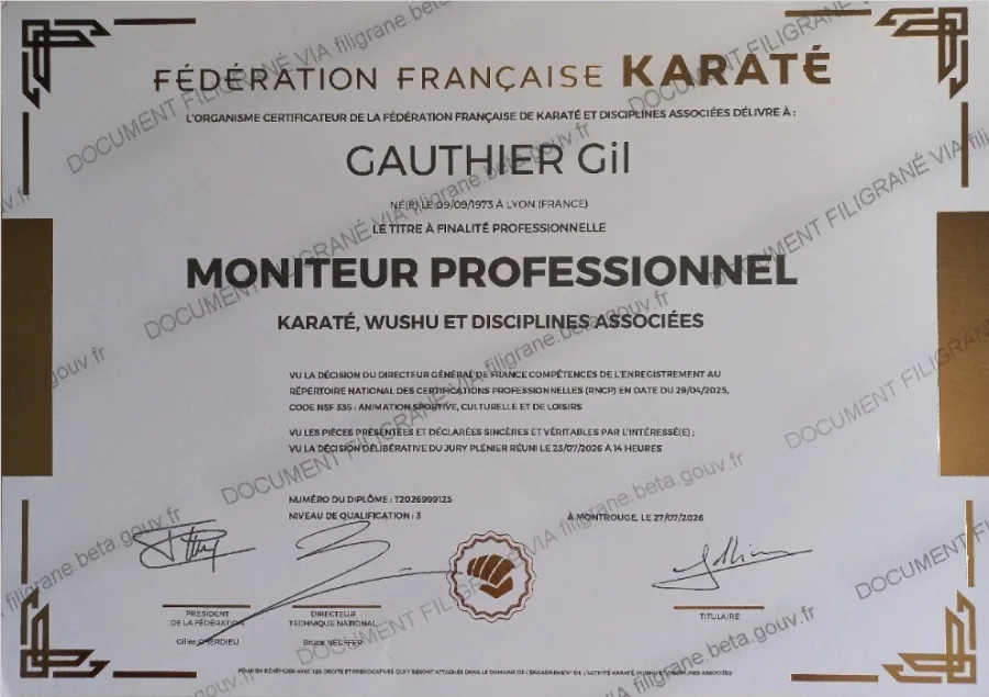 Diplôme de Moniteur Professionnel Karaté, Wushu et disciplines associées