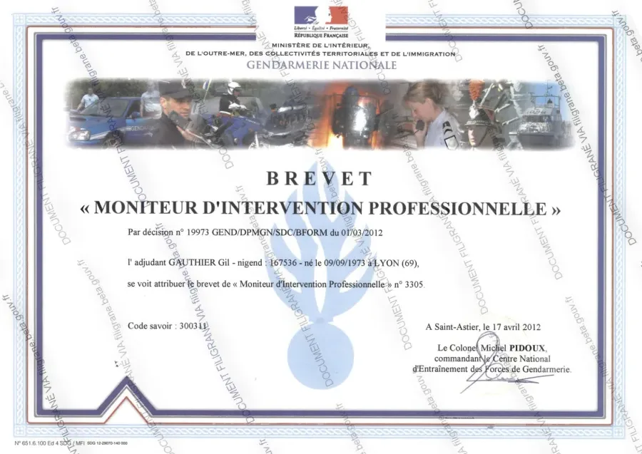Brevet de Moniteur d'Intervention Professionnelle