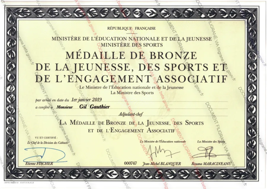 Médaille de bronze de la jeunesse, des sports et de l'engagement associatif