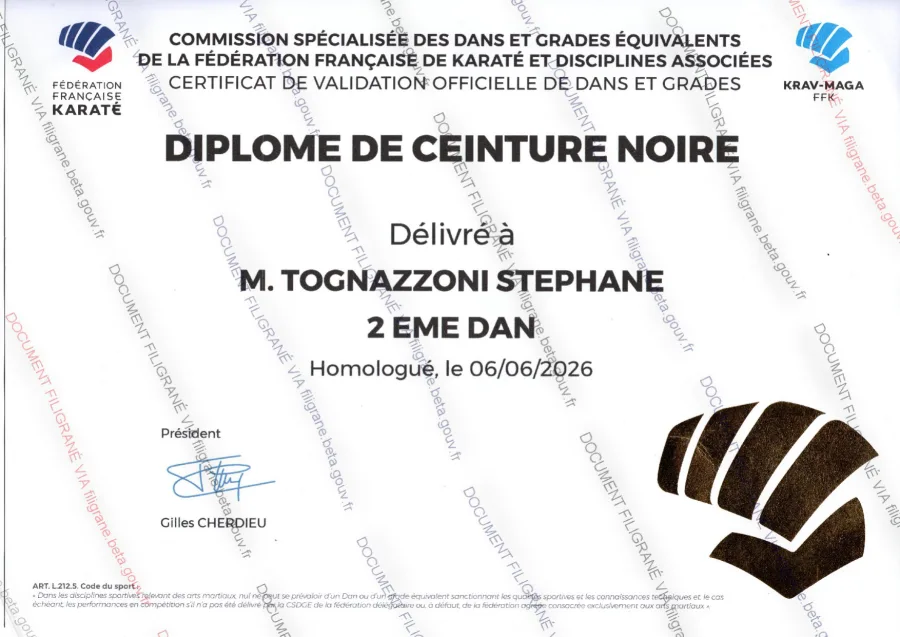 Diplôme de ceinture noire 2ème Dan