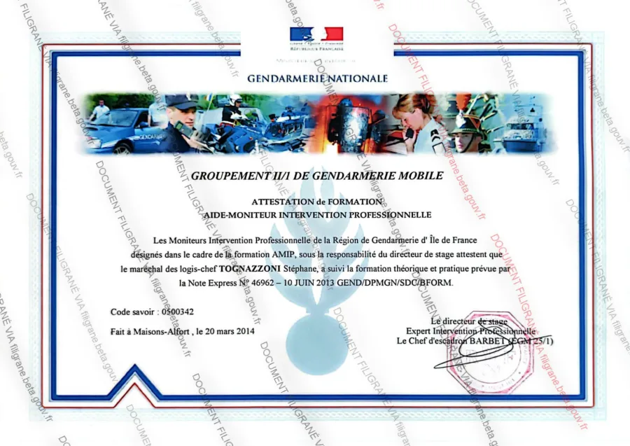 Attestation de formation Aide-Moniteur Intervention Professionnelle (AMIP)